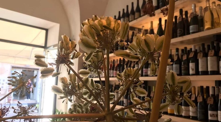 Arsura Spiriti Isolàni
